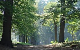 Luxe Safaritent Medley 5 Persoons Op Camping Rijsterbos