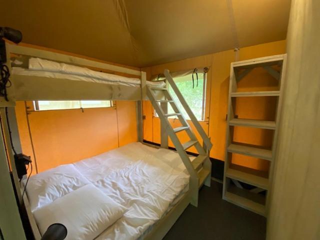 Luxe Safaritent Medley 5 Persoons Op Camping Rijsterbos Exterior foto